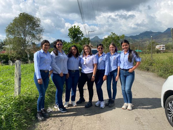 lineiros-1